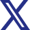 X (Twitter)