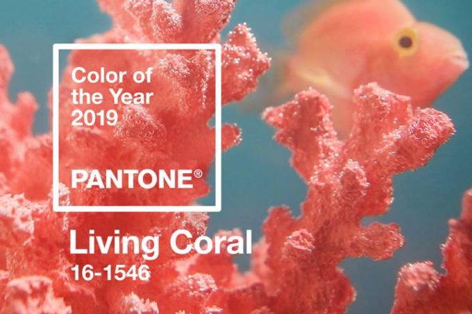 Elävä koralli vuoden 2019 Pantone-väri